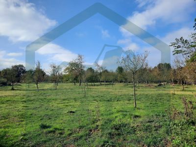 Građevinsko zemljište u Perušiću, površine 11035 m² cijena