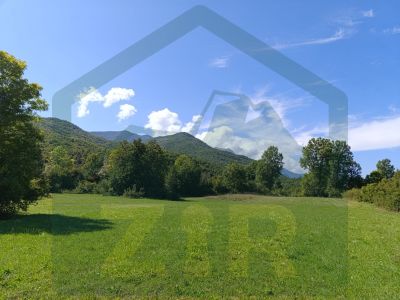 Poljoprivredno zemljište u Svetom Roku, 5000 m² cijena