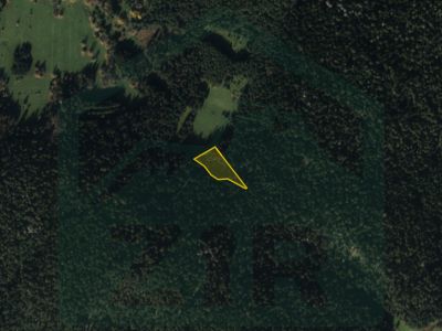 Land – Forest; Babin Potok, Plitvice Lakes, 4,000 m² price