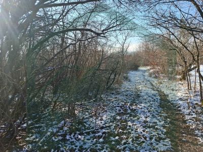 Zemljište u Gospiću, 25000 m² ! cijena